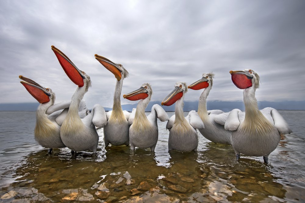 Waiting for a fish von Xavier Ortega