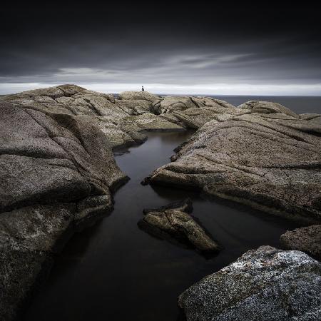 The Rocks And The Bird