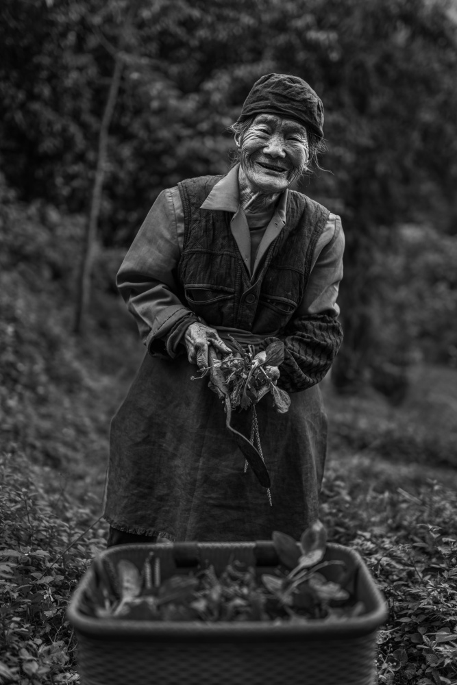 The herb-gathering woman von Xiangshu LEI