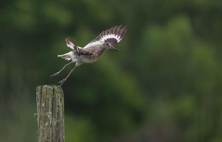 Taking Off