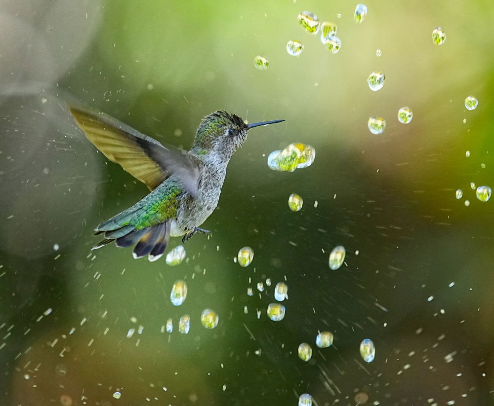 A Shower of Diamonds von Xiaojian Huang