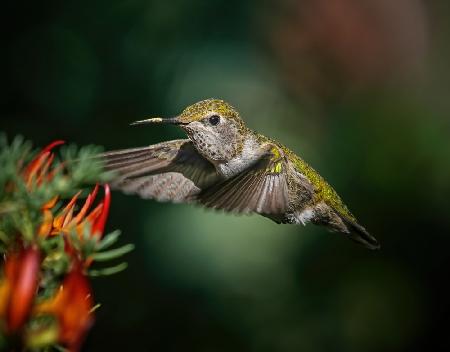 Feeding Again