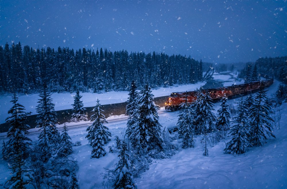 The Polar Express von Xiaolin Ni