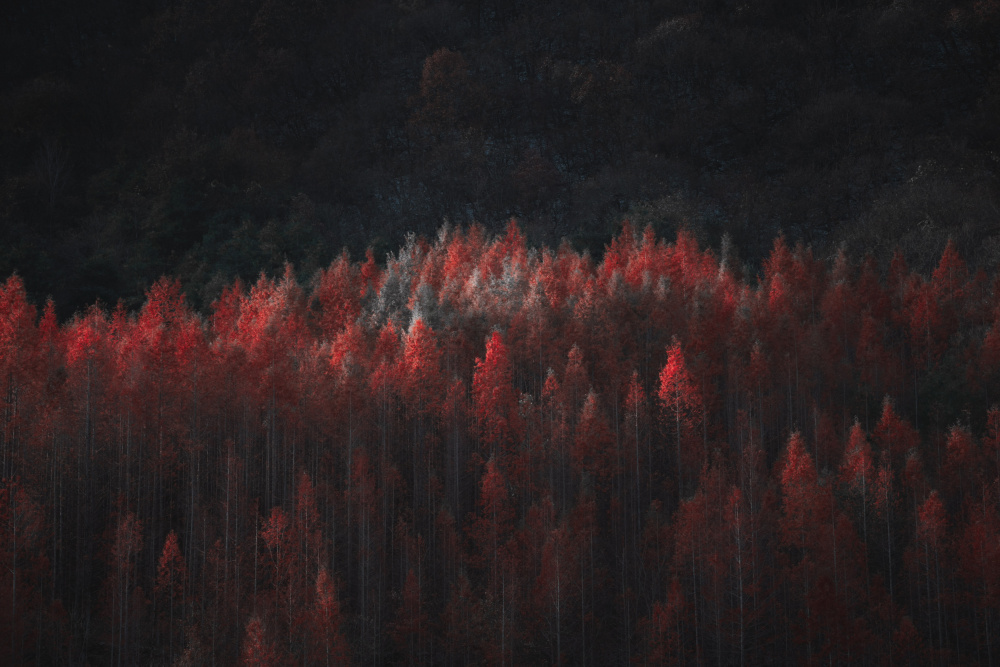 late autumn von Xiaopeng Guan