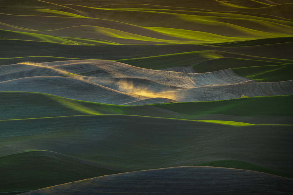 Galloping Wheat Field von Xiaoyuan Xu