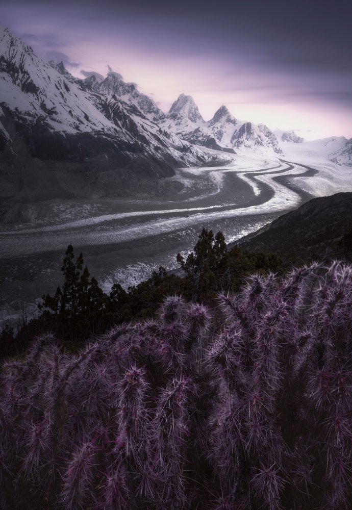 Totem of the Earth: Retreating Glaciers and Cacti von xiawenbin