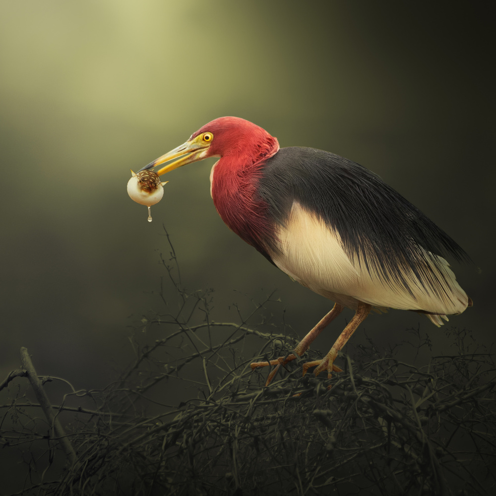 A good meal von XibiaoHuang