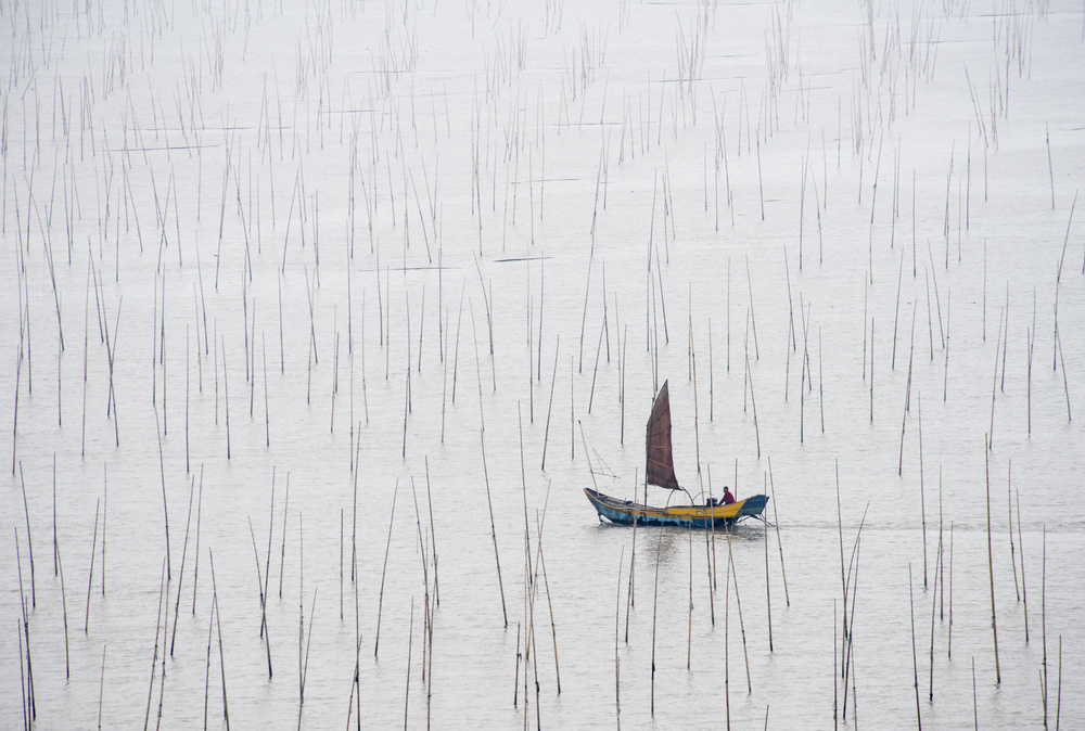 Lonely fisherman von Xinhua Zhou