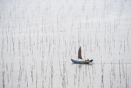 Lonely fisherman