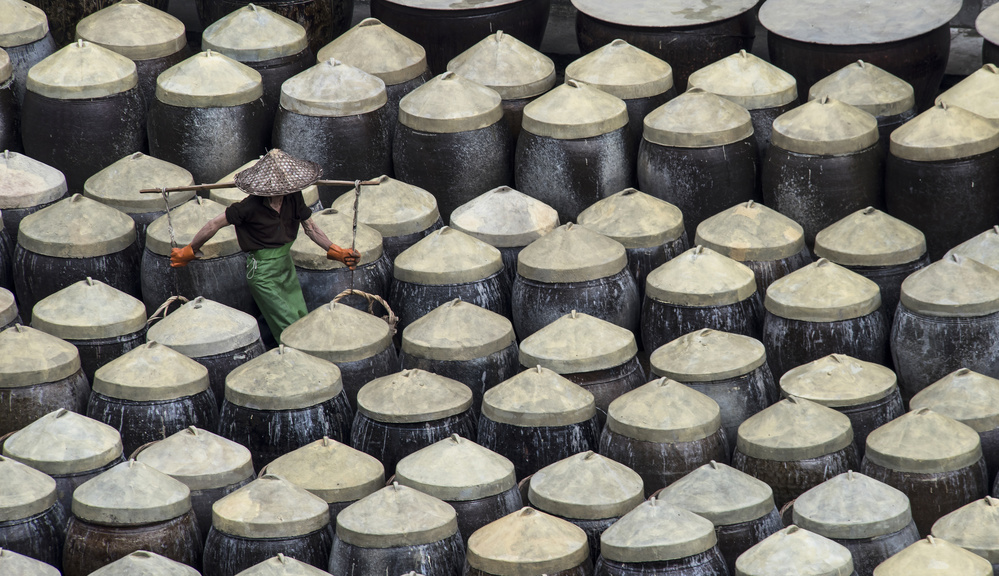 Fish sauce production von Xinhua Zhou