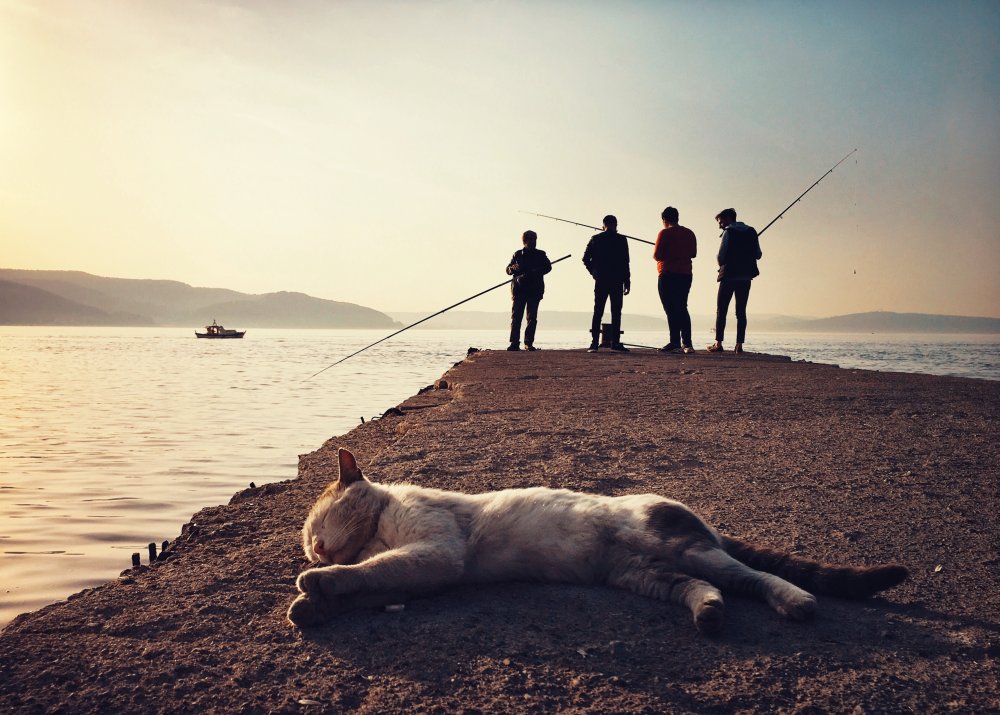 Another day of sun von Yalım Vural