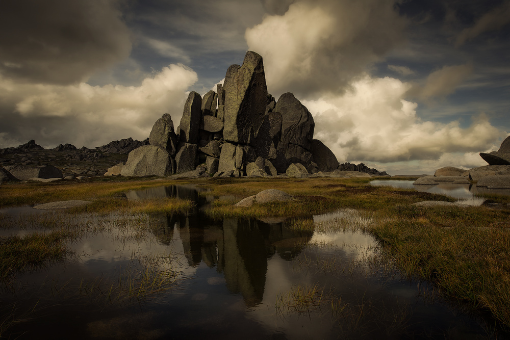 Standing Alone von Yan Zhang