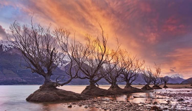 Glenorchy on Fire von Yan Zhang