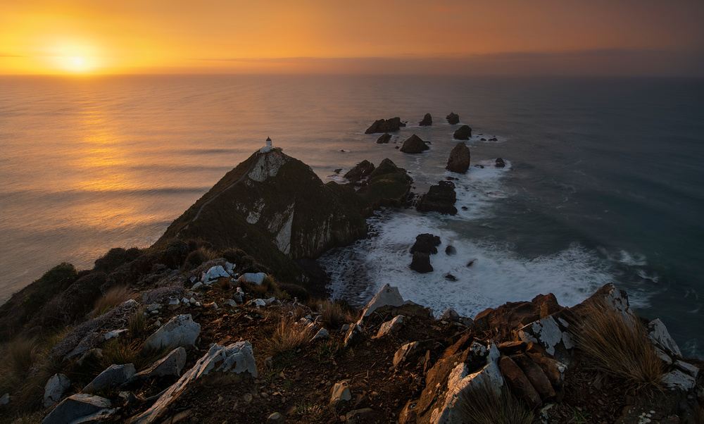 Good Morning, Kaka Point! von Yan Zhang