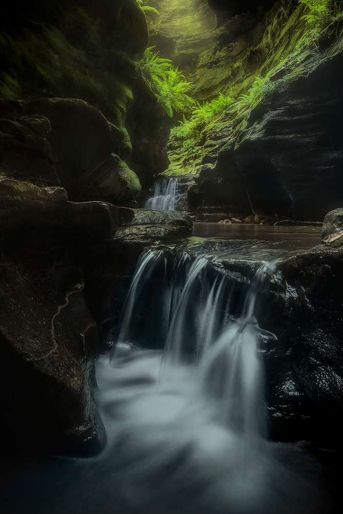 Inside the Canyon von Yan Zhang