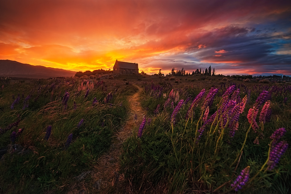 In the Wind von Yan Zhang