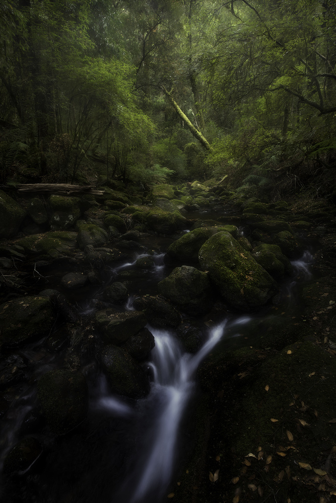 Down in the Valley von Yan Zhang