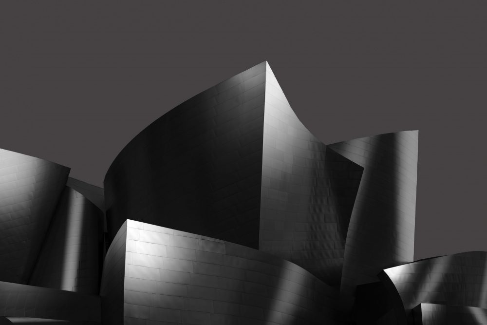 Walt Disney Concert Hall von Yan Zhong