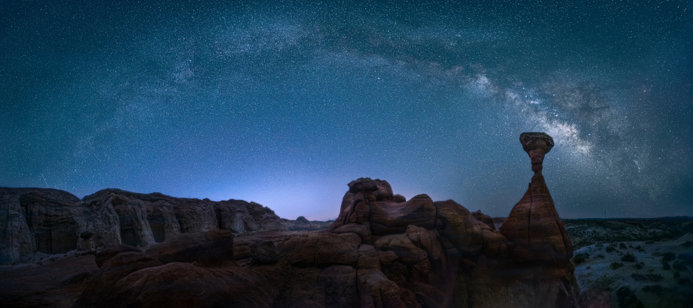 ToadStool under Milkyway von Yanny Liu