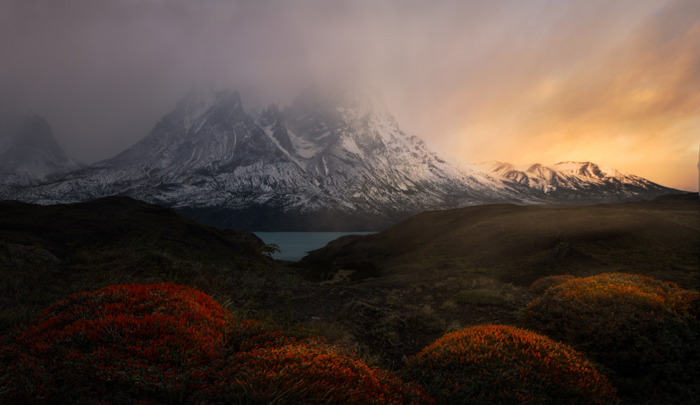 Spring time at Patagonia von Yanny Liu