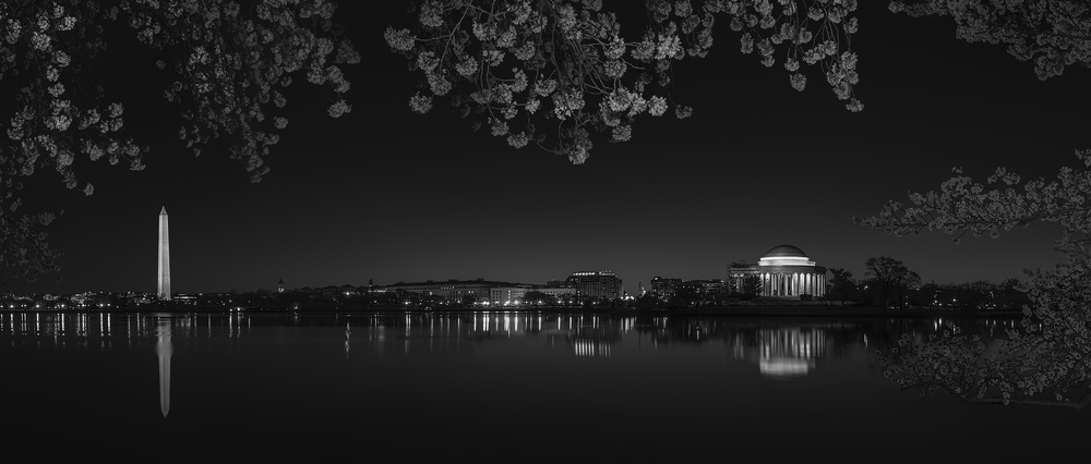 Cherry Blossoming von Yanny Liu