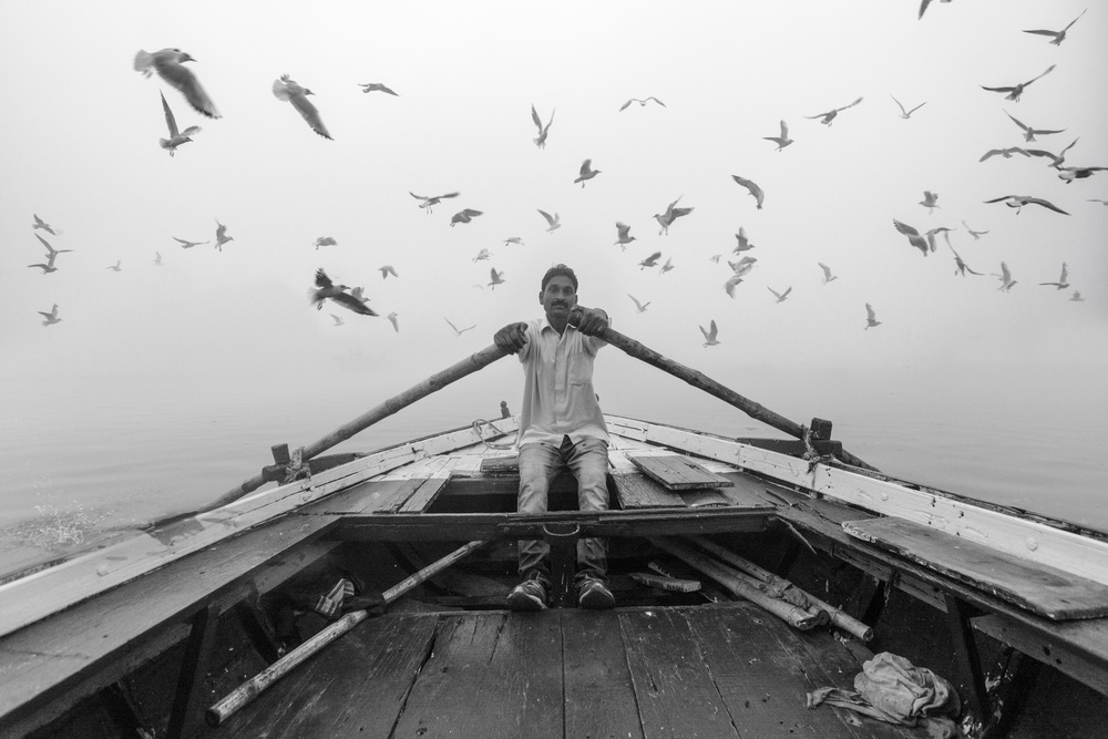 Birds of the Sacred Ganges River von Yasemin Bakan