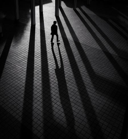 Shadows