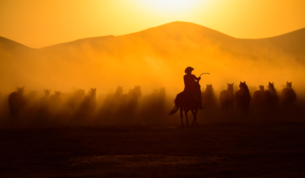 Chasing the Jades! von Yavuz Pancareken