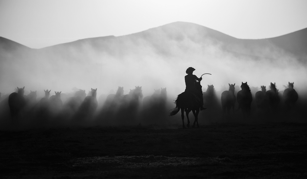 Chasing the Jades! von Yavuz Pancareken