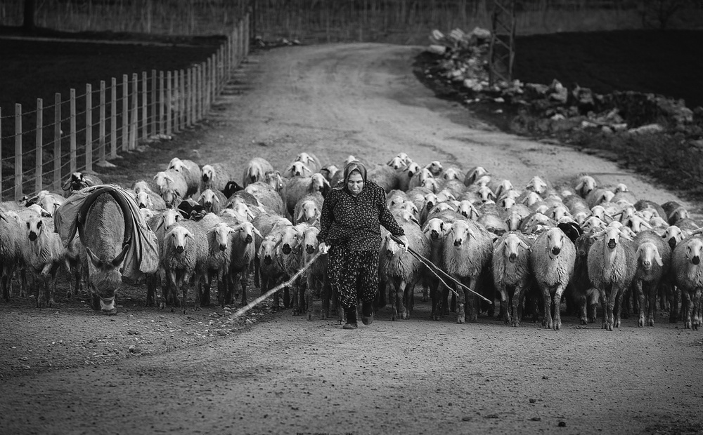 WOMAN von Yavuz Pancareken