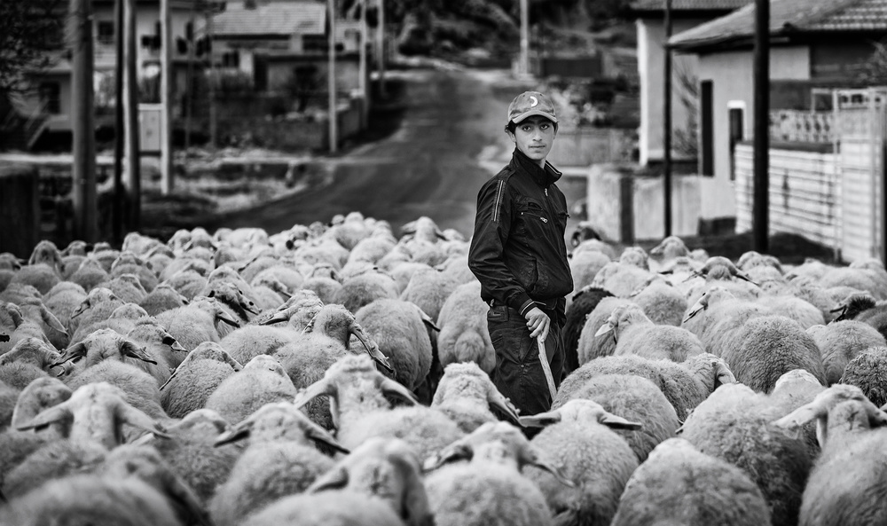 Shepherd Boy von Yavuz Pancareken