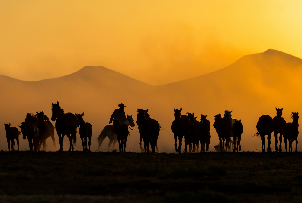 As The Sun Goes Down von Yavuz Pancareken