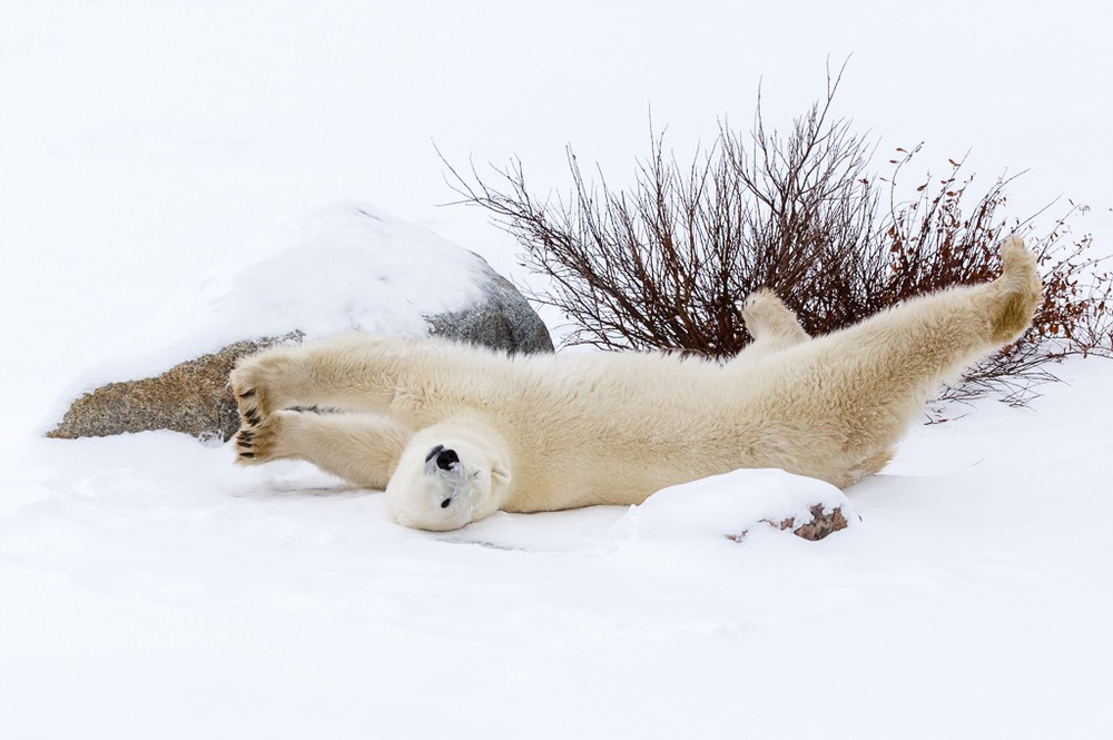 Yoga Exercise von Yi Jiang