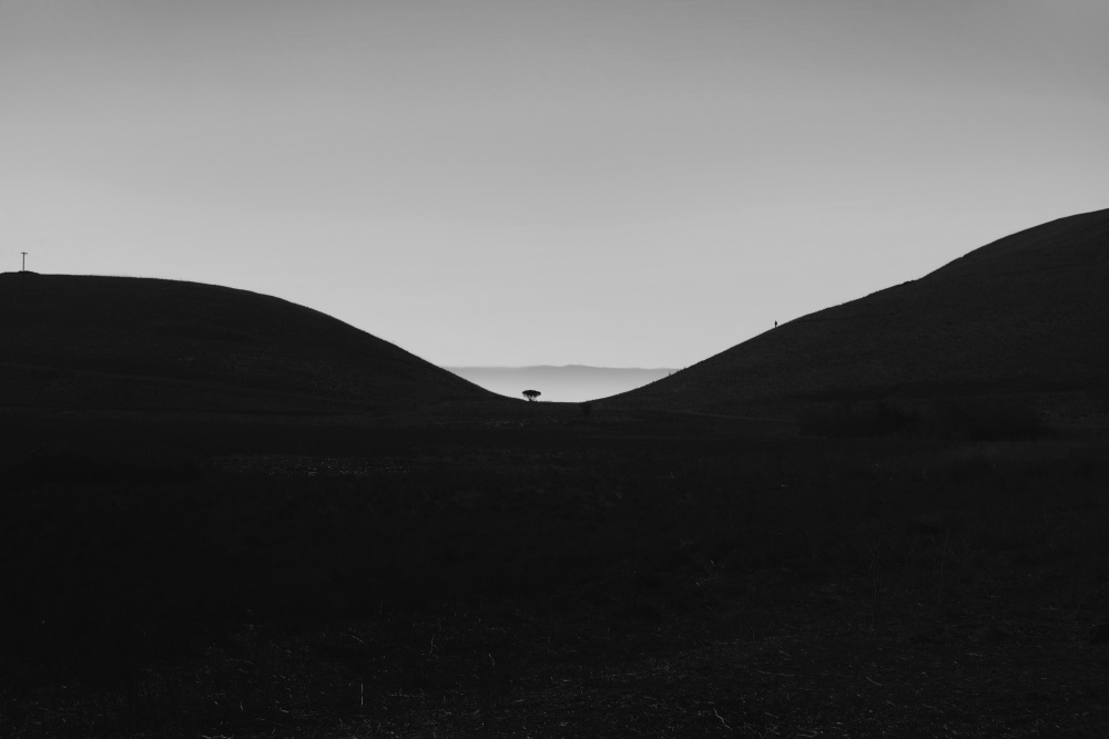 Coyote Hills Sunset von Yi Liu