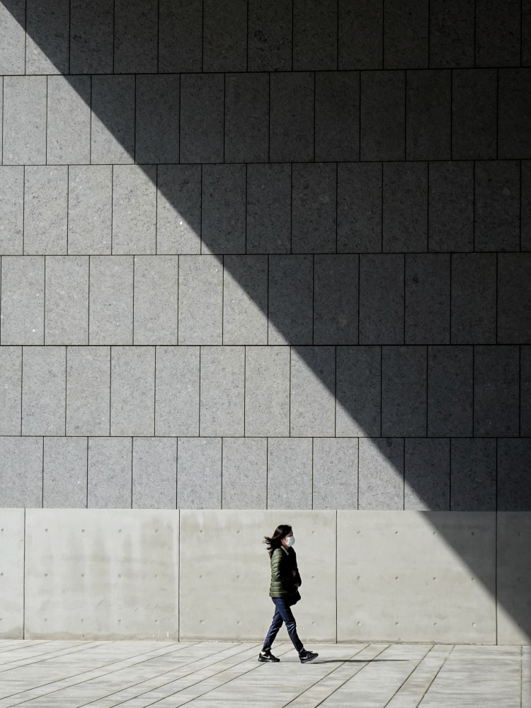 Into the shadow von Yi-Tang Wang