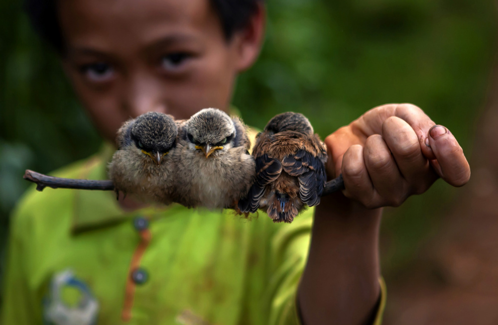 Child and bird von yibing Nie