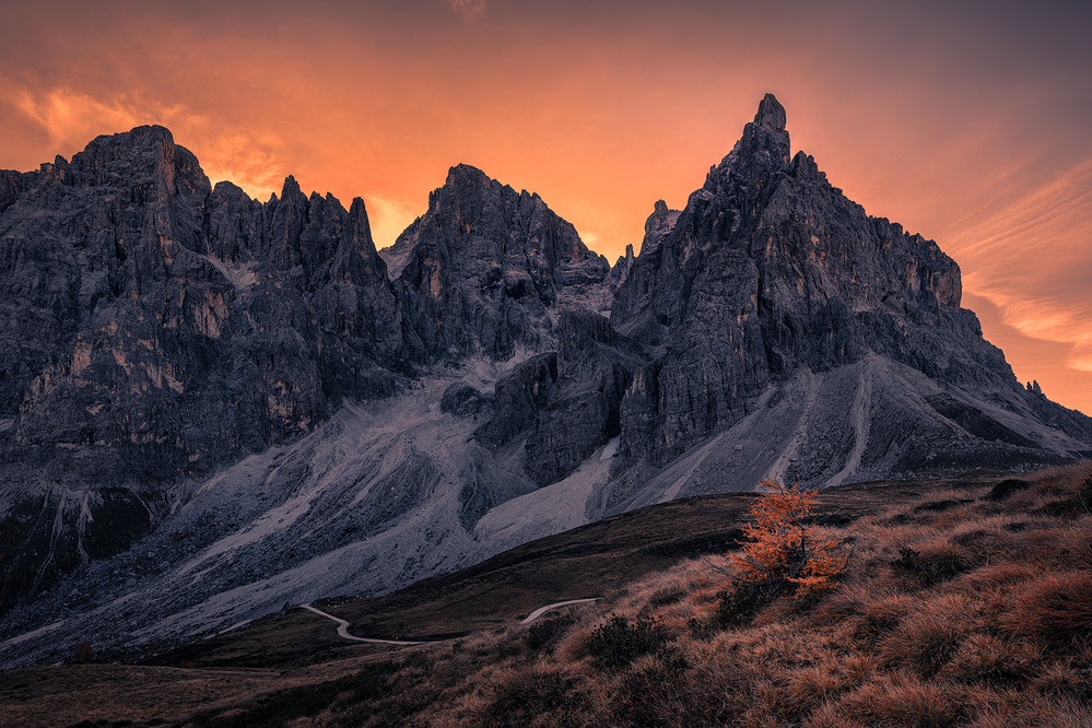 Fall In Passo Rolle von Yimei Sun