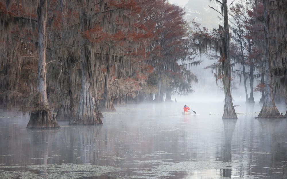 canoeing in a dreamland von Yimei Sun