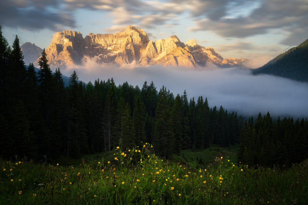 Golden Peaks von Yongnan Li （李永男）