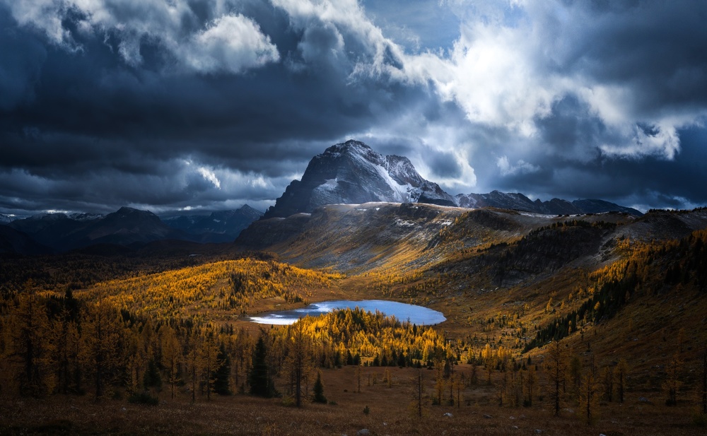 Healy Pass Golden Time von Yongnan Li （李永男）