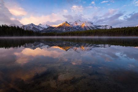 Herbert Lake