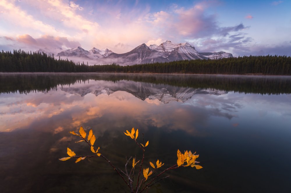 Last Fall View von Yongnan Li （李永男）