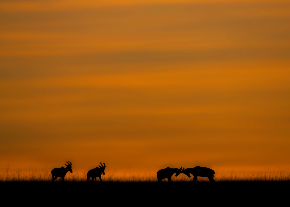 Kids... Time to Go Home! von Young Feng