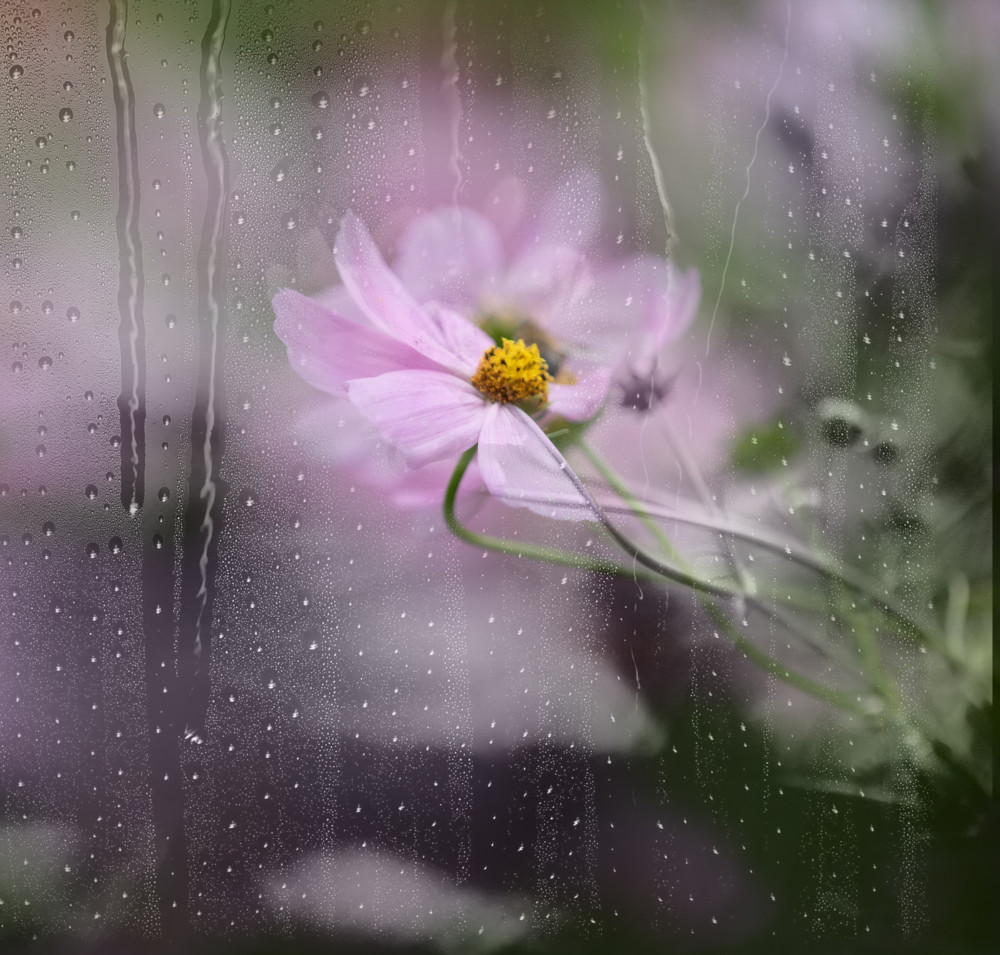 rain watered window von YoungIl Kim