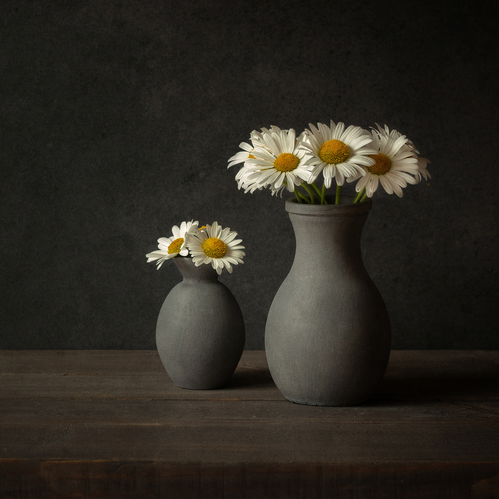 Daisies von Ytje Veenstra