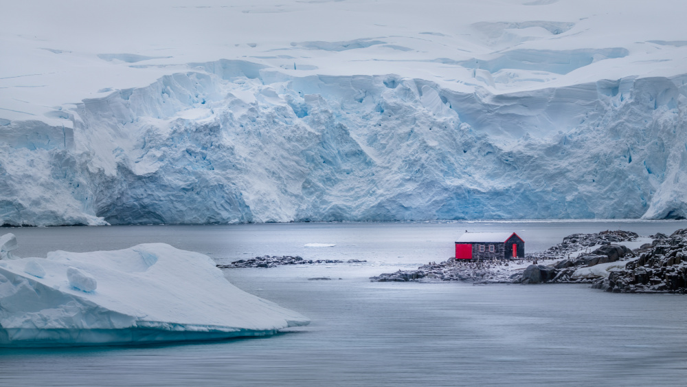 In the Ice World von Yu Mao