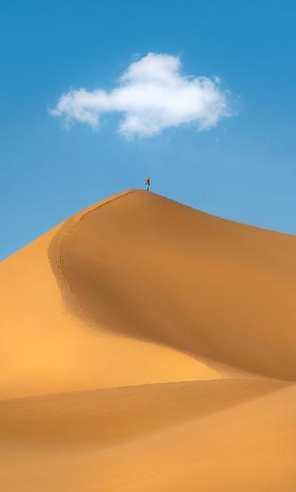 A lonely desert traveler