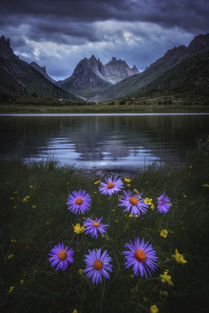 Melancholy Valley von Yuan Cui