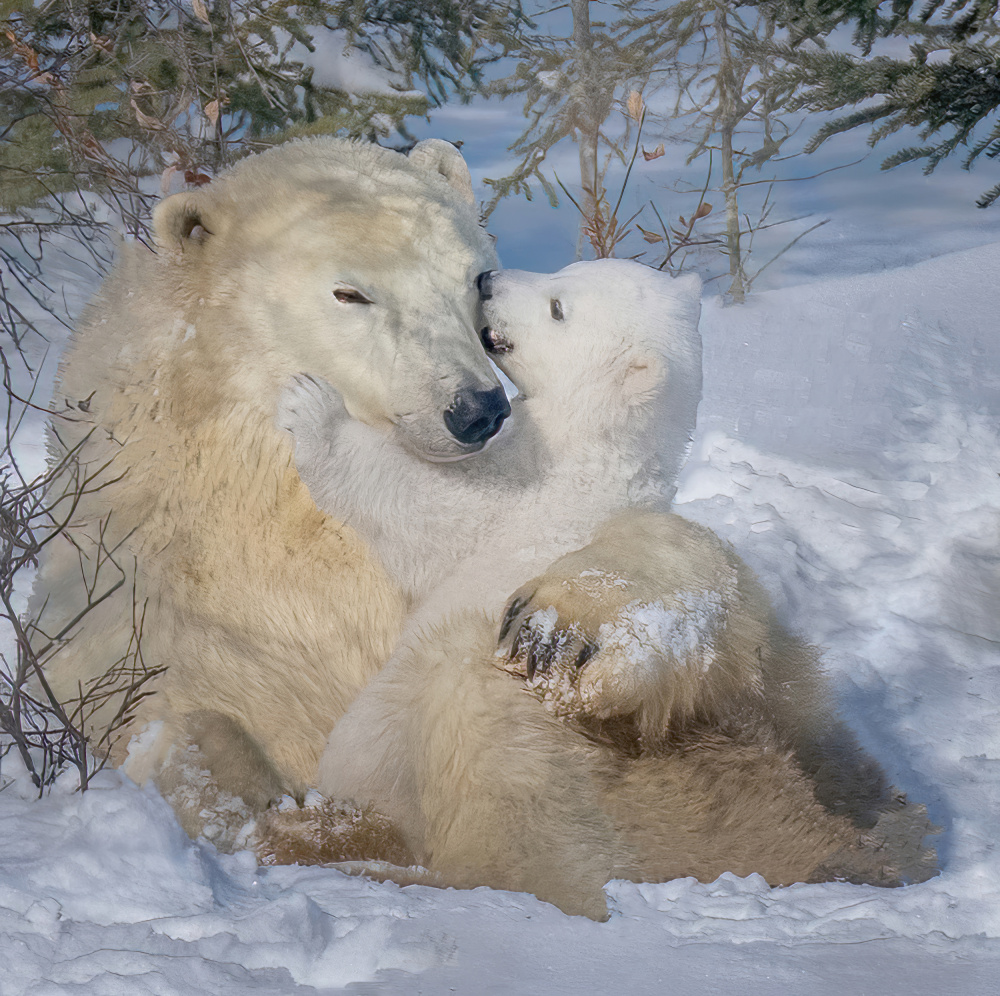 Heart melted von Yuan Su