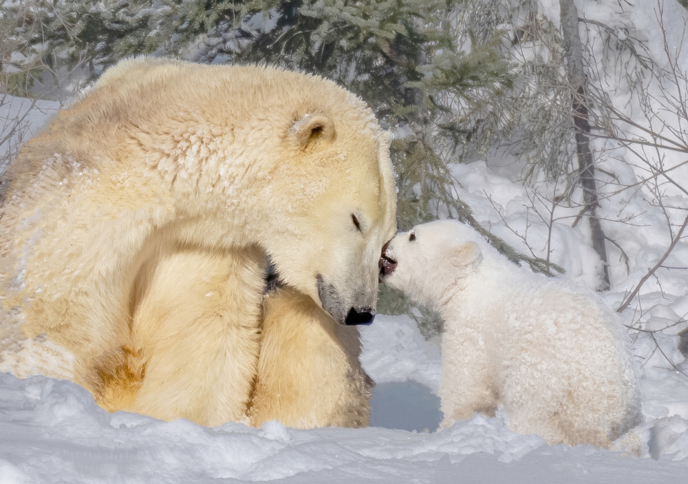 Warm the heart von Yuan Su